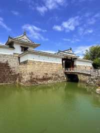靜岡｜德川家康退位後的居所 遙控江戶的傳奇之所-駿府城
