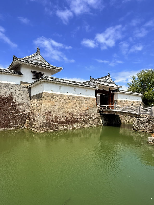 靜岡｜德川家康退位後的居所 遙控江戶的傳奇之所-駿府城