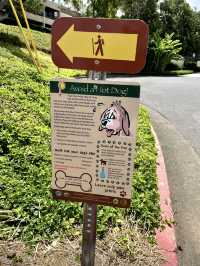 【Hawaiiのローカルタウンカイルア🏝️🍔✨】自然もグルメもぎゅっと詰まった癒しスポットへ♪