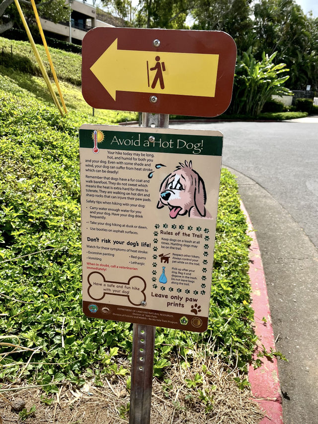 【Hawaiiのローカルタウンカイルア🏝️🍔✨】自然もグルメもぎゅっと詰まった癒しスポットへ♪