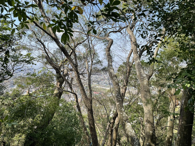 台中｜大坑風景區—沿著9號步道看見整個台中盆地的呼吸 ⛰️🌤️