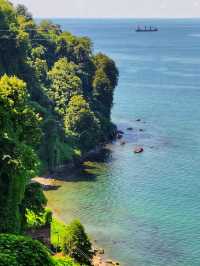 🌿 Batumi Botanical Garden – A Green Paradise by the Black Sea