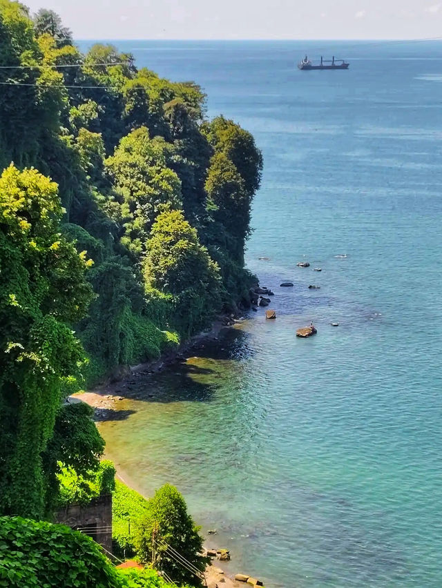 🌿 Batumi Botanical Garden – A Green Paradise by the Black Sea