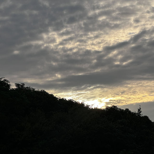 여수 바다뷰 호캉스 최고예요 🌊✨