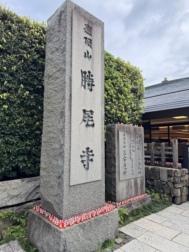  🪆日本勝尾寺打卡遊記｜滿滿達摩的祈福聖地✨