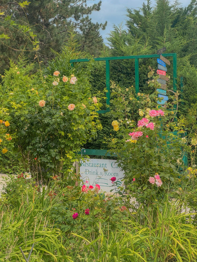 프랑스 파리🇫🇷 모네의 대표작 수련의 탄생지 지베르니🌷