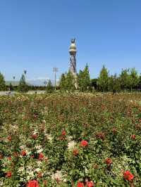 🌹 A City of Roses: Strolling Through Dushanbe