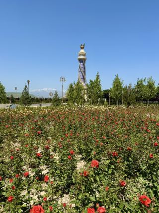 🌹 A City of Roses: Strolling Through Dushanbe