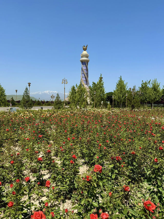 🌹 A City of Roses: Strolling Through Dushanbe