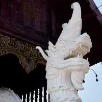 อุทยานหลวงราชพฤกษ์ จ.เชียงใหม่ คนรักดอกไม้ห้ามพลาด