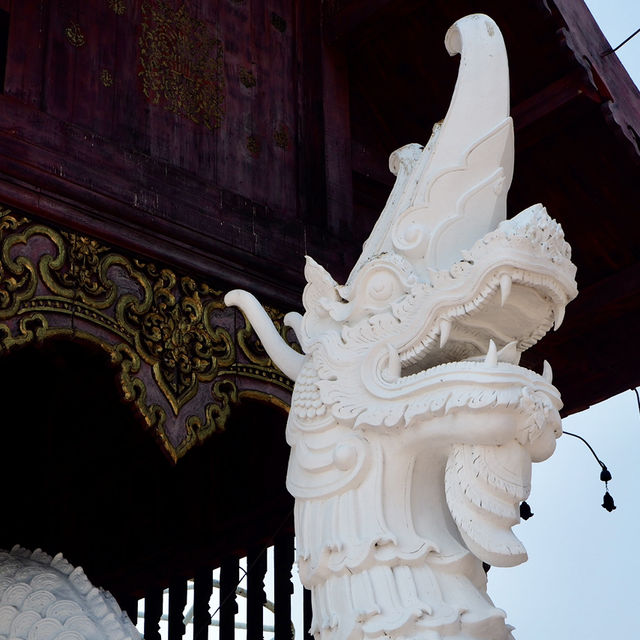 อุทยานหลวงราชพฤกษ์ จ.เชียงใหม่ คนรักดอกไม้ห้ามพลาด