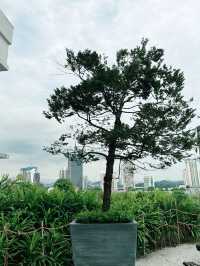 “Rooftop Garden at Starling Mall: Hidden Green Oasis with Stunning Skyline Views” 