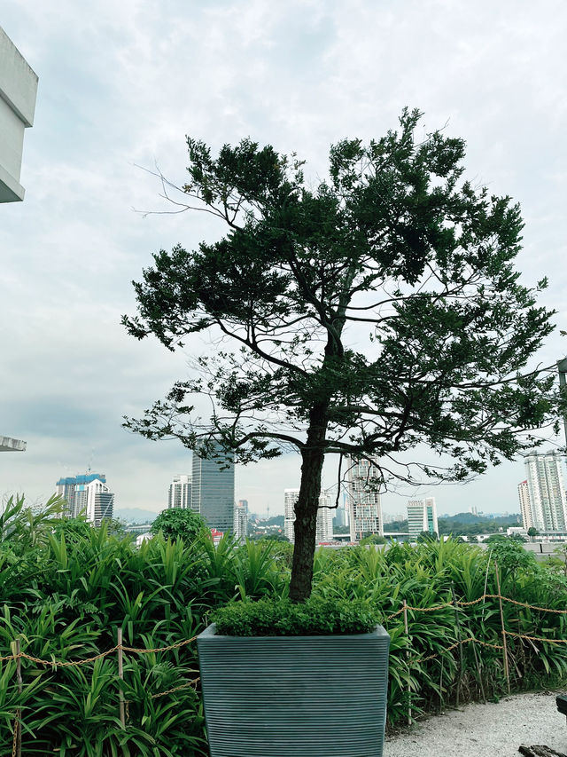 “Rooftop Garden at Starling Mall: Hidden Green Oasis with Stunning Skyline Views” 