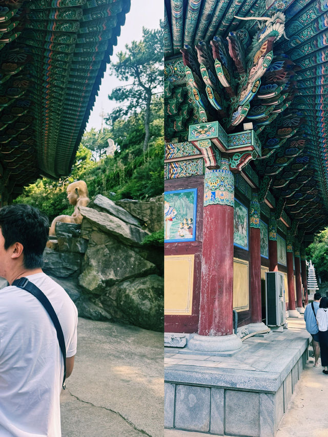 바다를 품은 사찰, 해동용궁사에서의 힐링 산책 바다를 품은 사찰, 해동용궁사에서의 힐링 산책
