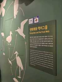 🕸️ 생명의 연결고리, 생태계와 먹이그물 전시