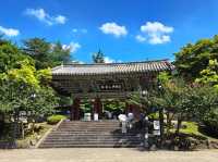 천년 고도 경주 여행 필수 코스, 경주 불국사