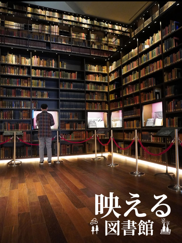薄暗い中、壁一面に並べられた古書の壮観な風景 薄暗い中、壁一面に並べられた古書の壮観な風景