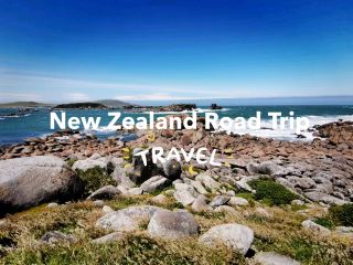 🇳🇿 New Zealand Road Trip - เล่าเรื่องด้วยภาพ#10