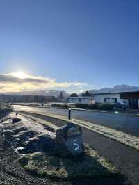 瓦納卡之樹打卡靚景🌳