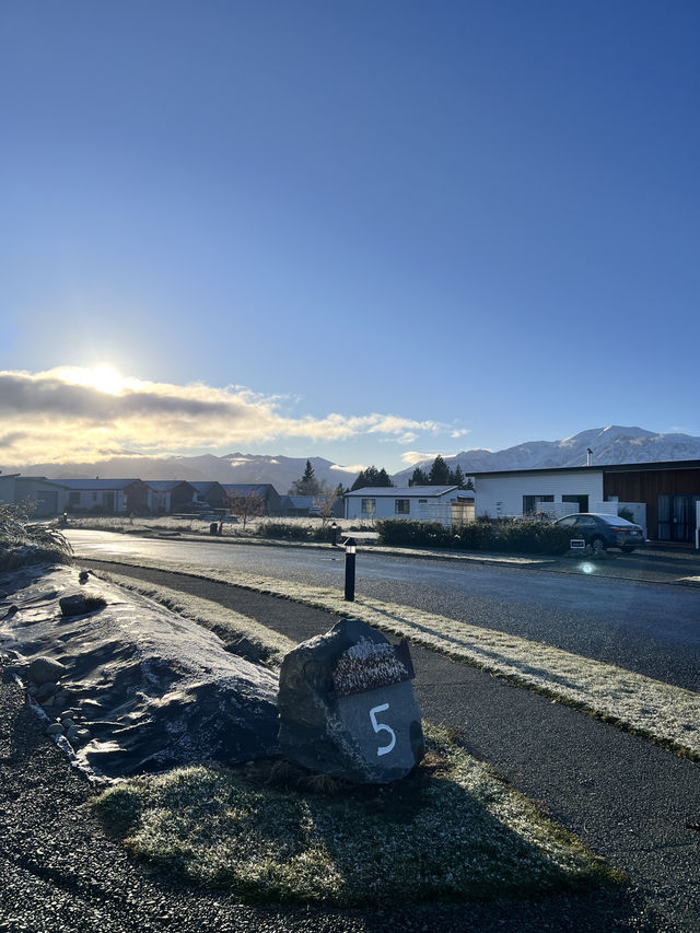 瓦納卡之樹打卡靚景🌳 瓦納卡之樹打卡靚景🌳