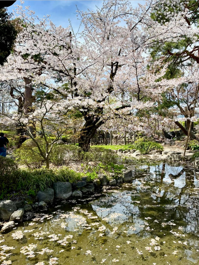 🏯 Rinkokaku: A Glimpse into Meiji-Era Elegance