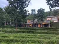 泰國🇹🇭清邁 Veranda High Resort Chiangmai 