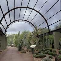 Desert Botanical Garden