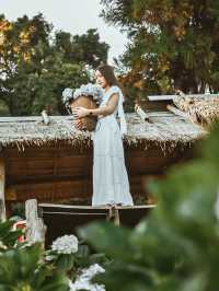 💐 บ้านขุนแปะ – หมู่บ้านกลางขุนเขา ที่มีหมอก ดอกไม้