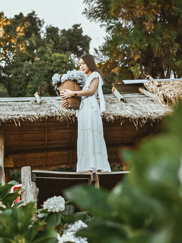 💐 บ้านขุนแปะ – หมู่บ้านกลางขุนเขา ที่มีหมอก ดอกไม้