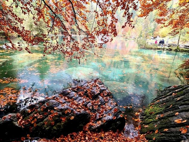 Trout farm and restaurant