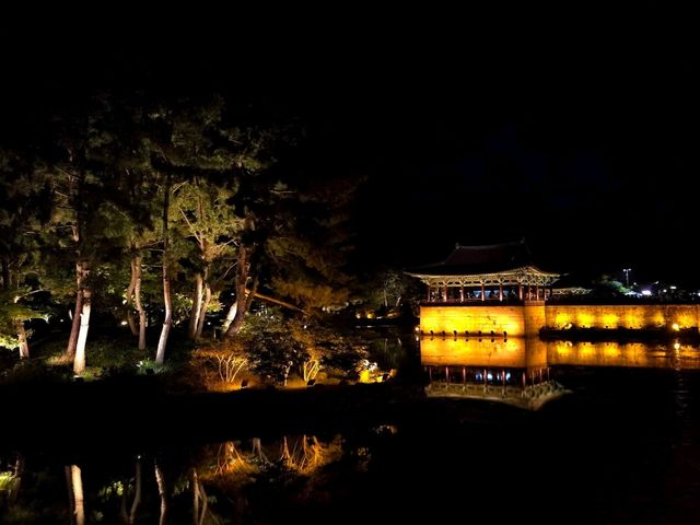 천년 고도, 경주의 밤 산책🌛
