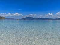 Komodo Wonders🌿 One Day Trip