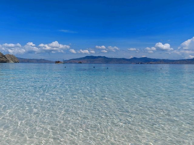 Komodo Wonders🌿 One Day Trip