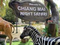 ส่องโลกยามค่ำคืน! เชียงใหม่ไนท์ซาฟารี