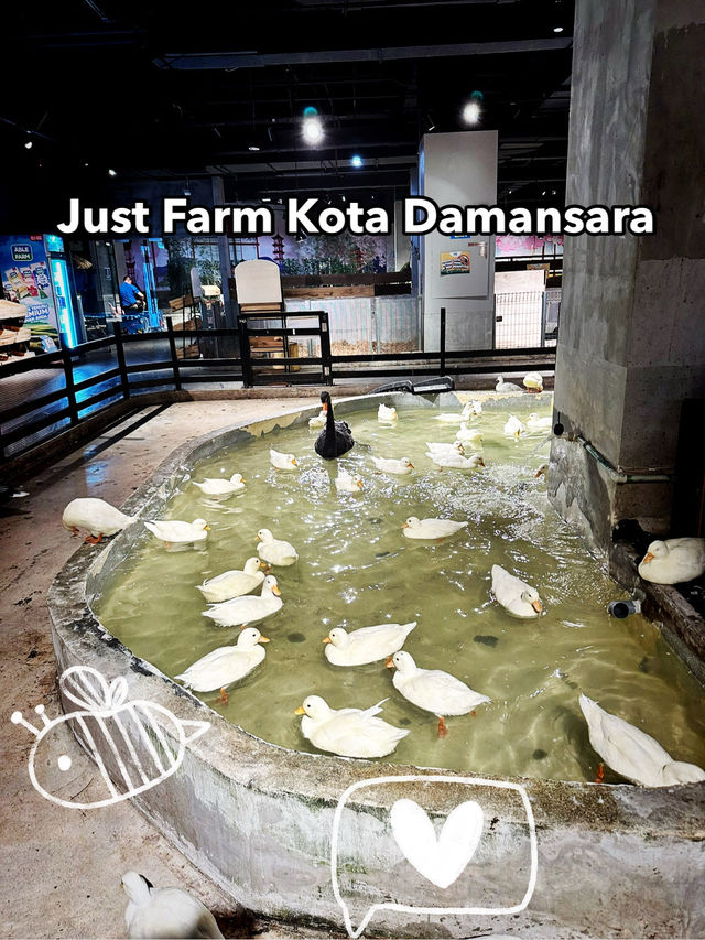 A Whimsical Farm Escape at Just Farm, Kota Damansara A Whimsical Farm Escape at Just Farm, Kota Damansara