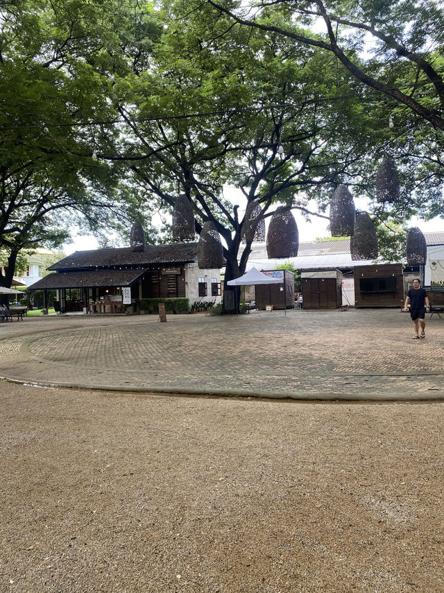 ขนมปังเกลือ • คาเฟ่ลำปาง ✨ ขนมปังเกลือ • คาเฟ่ลำปาง ✨