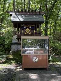 北海道秘境!天狗山展望台絕景+超萌花栗鼠親密接觸