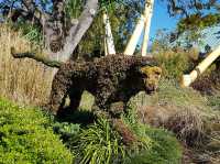 Busch Gardens - Good for quality family time