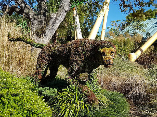 Busch Gardens - Good for quality family time