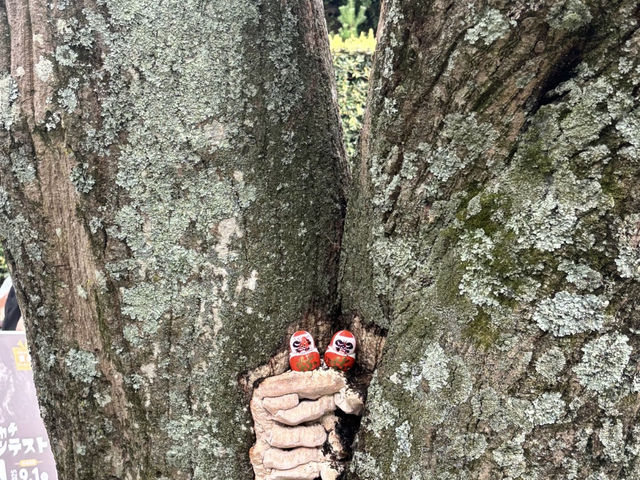 Osaka Day Trip: Mountain Temple & Waterfall Escape! ⛰️💦