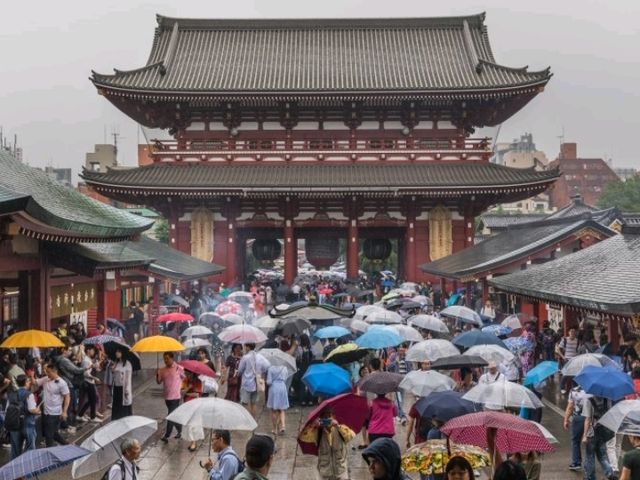 🗼 Tokyo Hotspots: The Ultimate 3-Day Itinerary! 🚄🍜