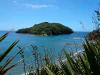 Underwater Playground For Curious Explorers