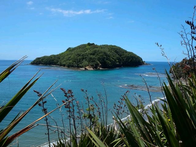 Underwater Playground For Curious Explorers