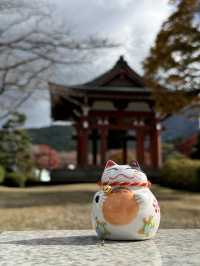 Quineville Fall Vibes & Fuji Views: Ultimate 3-Day Itinerary 🍁🌄