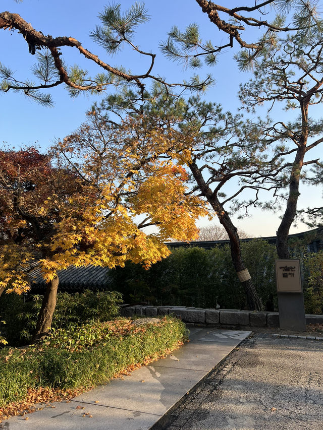 워커힐을 산챡하며