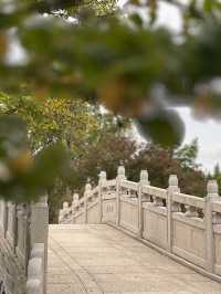 Tranquil, serene park that captures my heart!