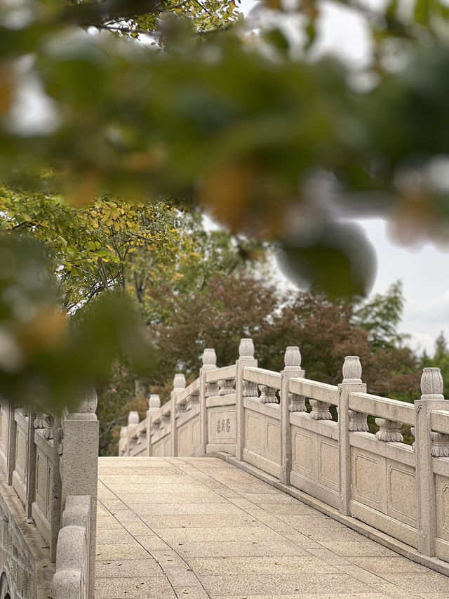 Tranquil, serene park that captures my heart! Tranquil, serene park that captures my heart!