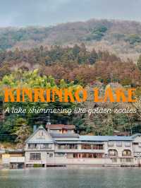 ๐ฏ๐ตํฉ๊ธ๋น์ผ๋ก ๋ฐ์ง์ด๋ ์ ํ์ธ์ ๋ณด๋ฌผ ๊ธด๋ฆฐ์ฝ ํธ์