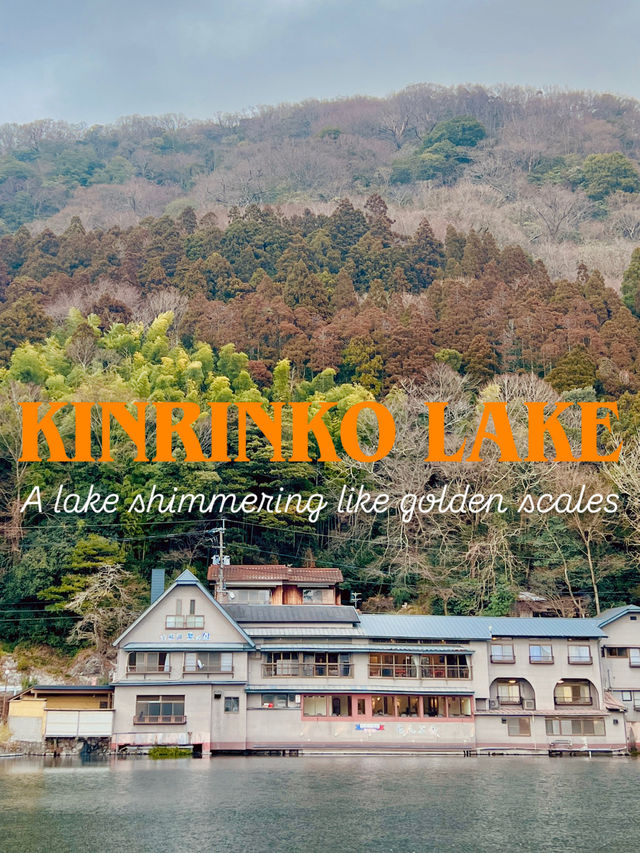 ๐ฏ๐ตํฉ๊ธ๋น์ผ๋ก ๋ฐ์ง์ด๋ ์ ํ์ธ์ ๋ณด๋ฌผ ๊ธด๋ฆฐ์ฝ ํธ์ ๐ฏ๐ตํฉ๊ธ๋น์ผ๋ก ๋ฐ์ง์ด๋ ์ ํ์ธ์ ๋ณด๋ฌผ ๊ธด๋ฆฐ์ฝ ํธ์