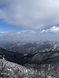 🇰🇷3도의 경계에 위치한 겨울 명산 민주지산 트래킹 코스